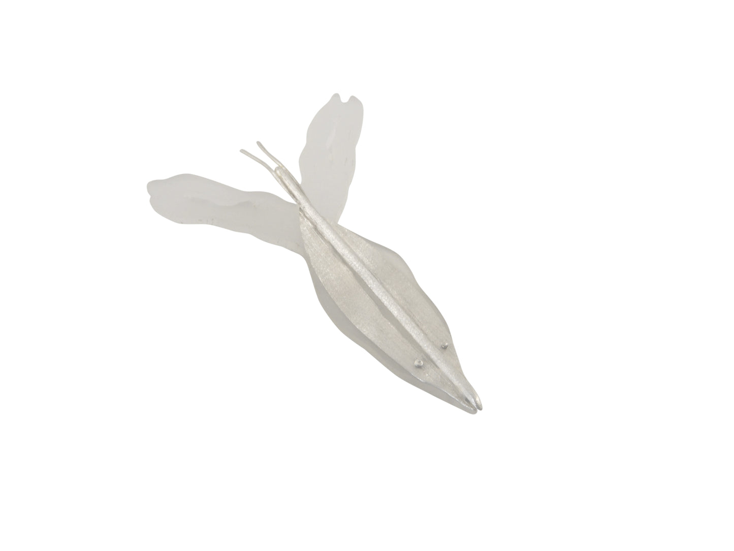 Sea butterfly brooches